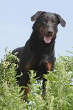 BEAUCERON 027